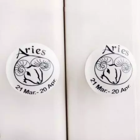 Aries Flat Ceramic Knob